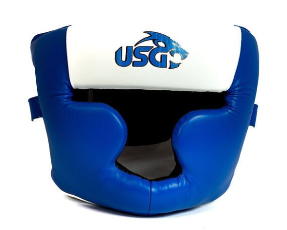 USG Blue and White Full face headgear