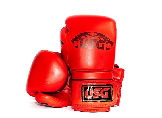 USG X-Series Sparring Gloves